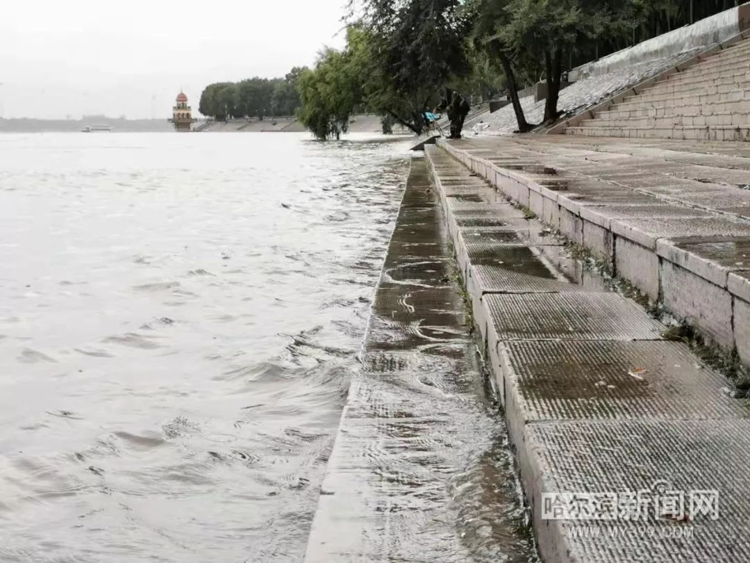 哈尔滨松花江当前水位情况