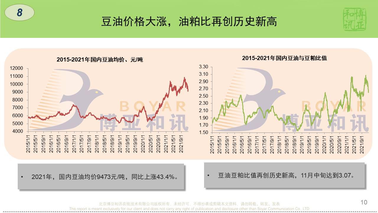 全国豆粕行情速递