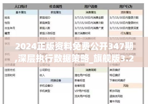 2024年正版资料免费大全视频｜2024年免费正版资料视频合集_实地数据验证策略