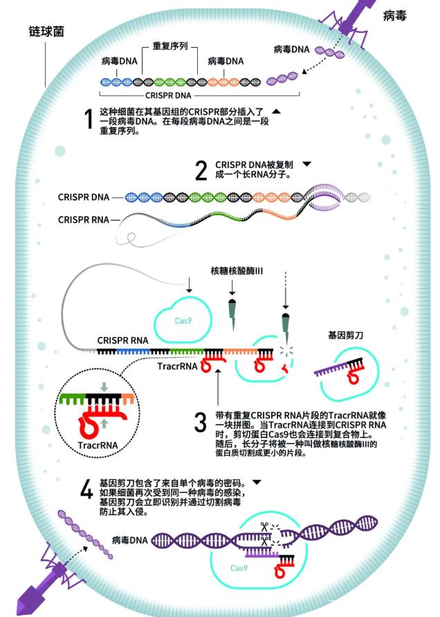 2025年1月19日 第3页