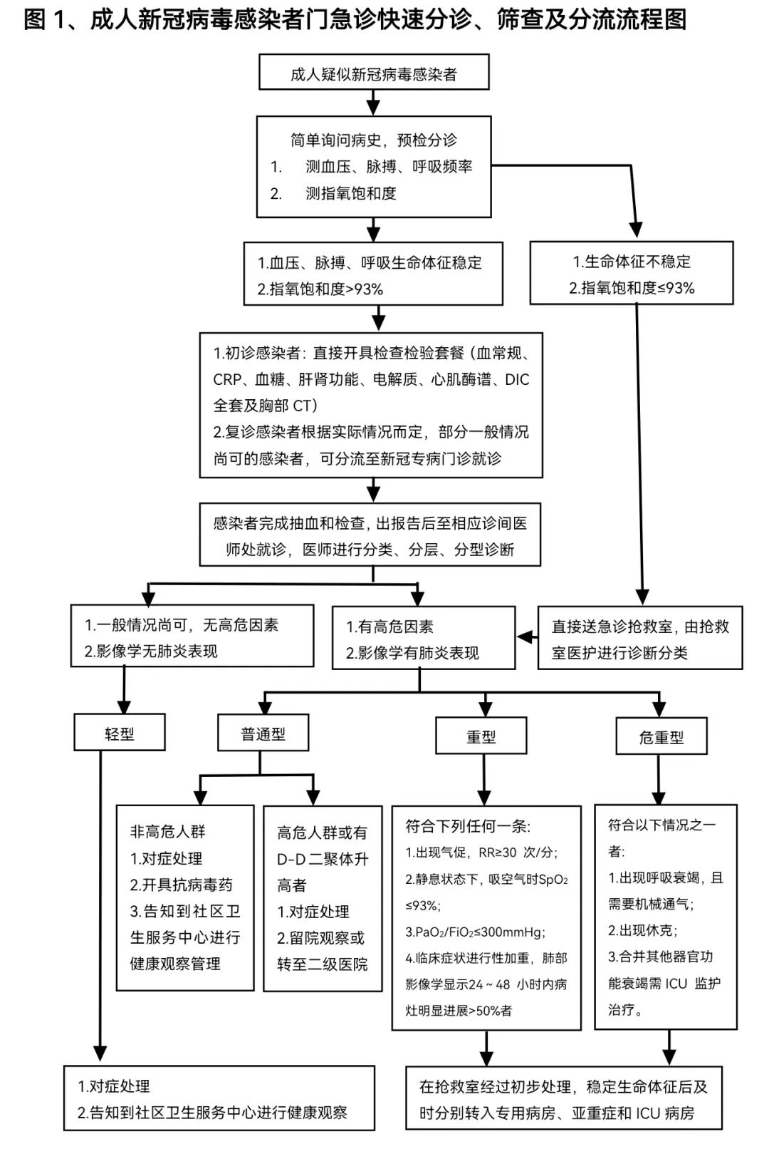 前沿急救指南：全新休克的紧急救治流程图解析