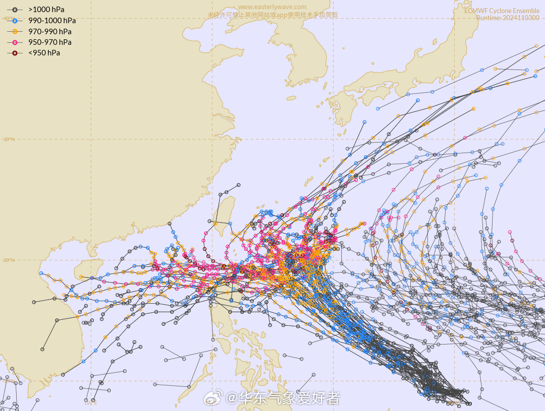 “最新16场台风动态速递”